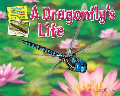 A Dragonfly's Life (Animal Diaries: Life Cycles)