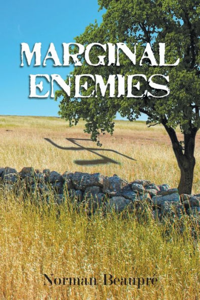 Marginal Enemies - 9781643980737