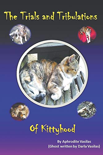 The Trials And Tribulations Of Kittyhood