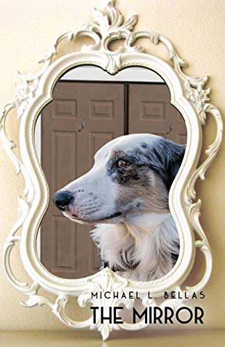The Mirror (Paperback)