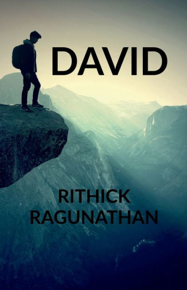 David - 9781646617135