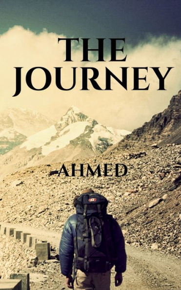 The Journey - 9781646618200