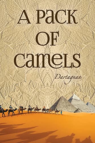 A Pack Of Camels