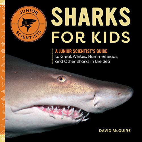 Sharks For Kids: A Junior Scientist's Guide To Great Whites, Hammerheads, And Other Sharks In The Sea
