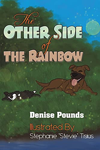 The Other Side Of The Rainbow - 9781647502805