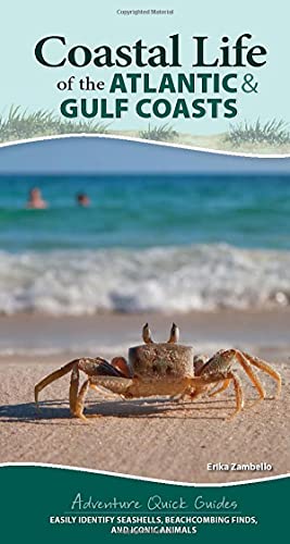 Coastal Life Of The Atlantic And Gulf Coasts : Easily Identify Seashells, Beachcoming Finds, And Iconic Animals