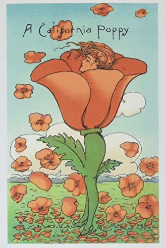 The Vintage Journal Illustration Of California Poppy Person (Pocket Sized