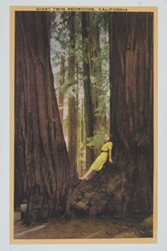The Vintage Journal Girl In Nook Of Twin Redwood Trees (Pocket Sized