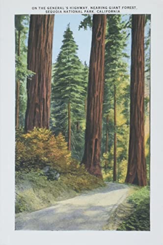 The Vintage Journal Sequoia National Park (Pocket Sized
