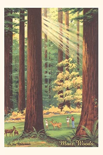 The Vintage Journal Bucolic Scene, Muir Woods, California (Pocket Sized