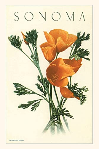 Vintage Journal California Poppies, Sonoma (Pocket Sized