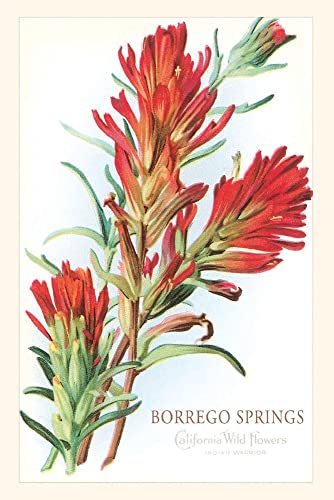 Vintage Journal Borrego Springs, Wildflowers (Pocket Sized