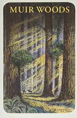 Vintage Journal Muir Woods (Pocket Sized