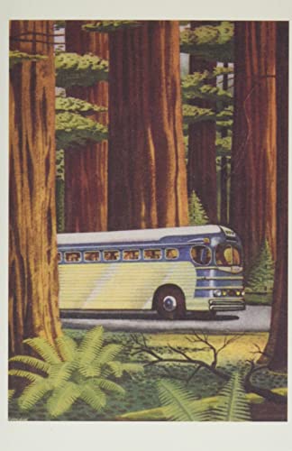 Vintage Journal Bus In Redwoods (Pocket Sized