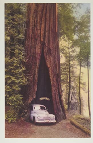 Vintage Journal Redwood And Old Car (Pocket Sized
