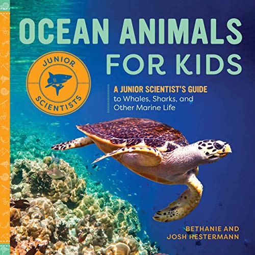 Ocean Animals for Kids: A Junior Scientist???s Guide to Whales, Sharks, and Other Marine Life