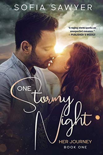One Stormy Night (The Her Journey)