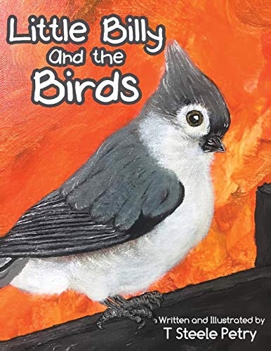 Little Billy and the Birds - 9781649085450
