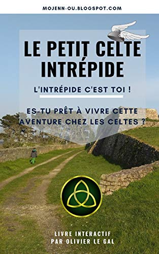 Le Petit Celte Intrépide (French Edition)