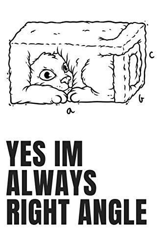 Yes Im Always Right Angle