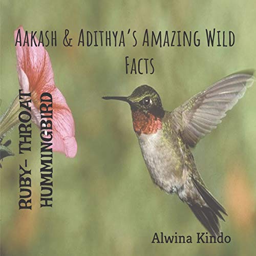 RUBY- THROATED HUMMINGBIRD Aakash & Adithya?Cos Amazing Wild Facts