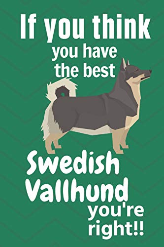 If you think you have the best Swedish Vallhund you're right!!: For Swedish Vallhund Dog Fans