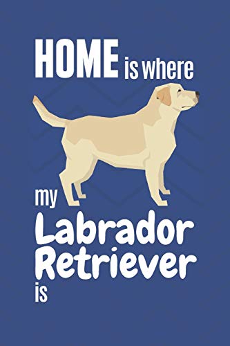 Home Is Where My Labrador Retriever Is: For Labrador Retriever Dog Fans