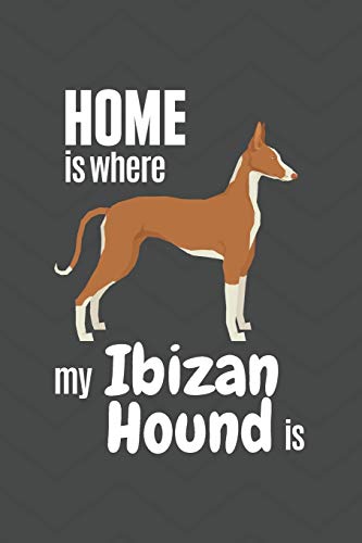 Home Is Where My Ibizan Hound Is: For Ibizan Hound Dog Fans