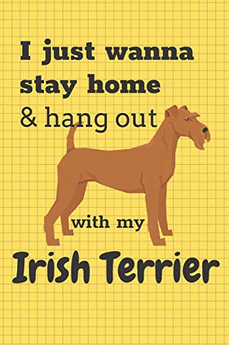 I Just Wanna Stay Home & Hang Out With My Irish Terrier: For Irish Terrier Dog Fans