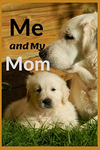 Me And My Mom: Lessons Mothers Need To Raise Extraordinary Men