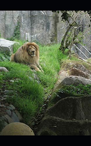 The Hunter and the Prey (The Lake Snow Chronicles)