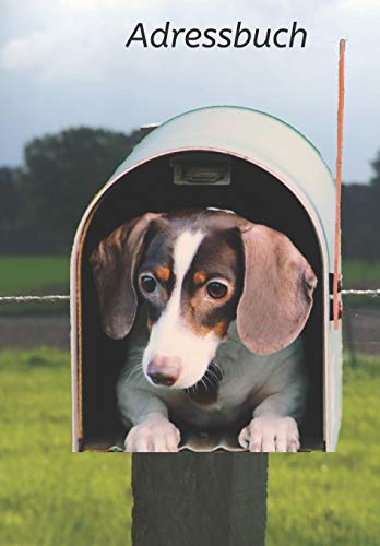 Adressbuch: Veranstalter zum Aufbewahren von Kontakten, Telefonnummern, E-Mails, Geburtstagen, Jahrestagen und Adressen sowie wichtiger Informationen ... einem Postfach (Dachshund) (German Edition)