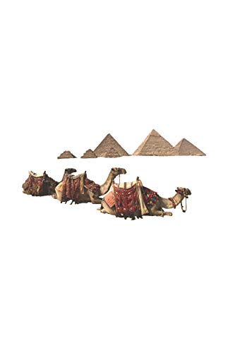 ?gypten - Kamel, Kamele Pyramids Urlaub Reise Kairo Notizbuch, Notizblock, 120 Seiten, Souvenir Geschenk Buch, auch als Dekoration geeignet zum Geburtstag (German Edition)