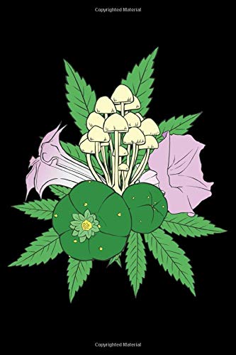 120 Pages DINA5: Cannabis Graphic Jorunal Book For Marijuana Smoker 120 Pages DINA5 - 9781658776905