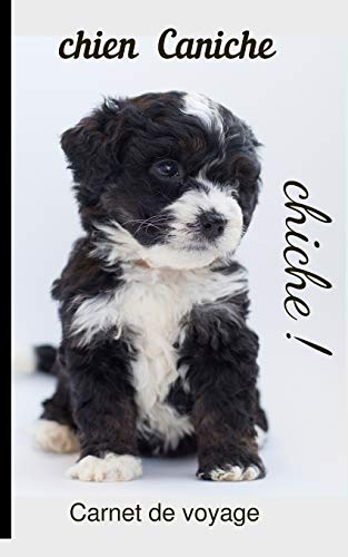 Chien Caniche Carnet de voyage: chiche! (French Edition)