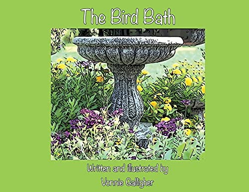 The Bird Bath - 9781662916762