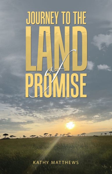 Journey to the Land of Promise - 9781664280601