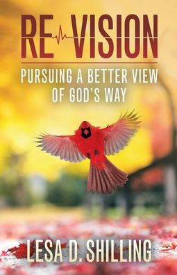 Re-Vision: Pursuing A Better View Of God's Way - 9781664283626