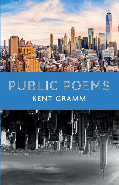 Public Poems - 9781666759549