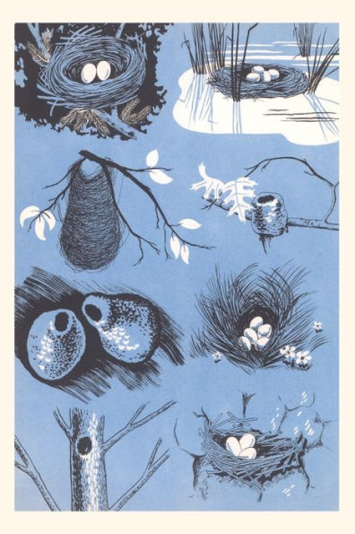 Vintage Journal Bird`S Nests