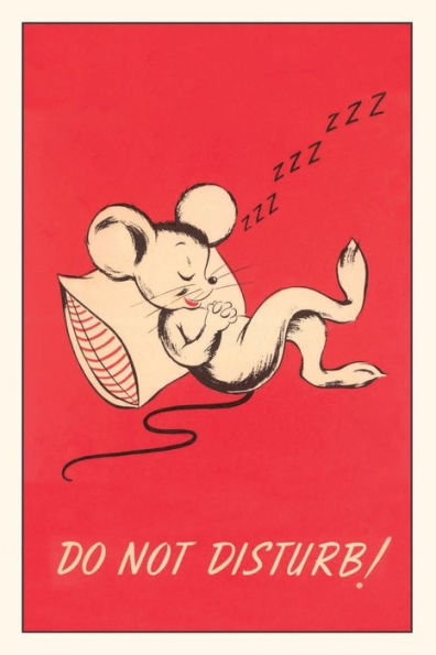Vintage Journal Do Not Disturb, Sleeping Mouse