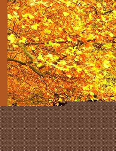 What I Really Want: 6 Questions To Ask Yourself For More Clarity On Any Subject - Trees 2 Cover