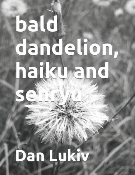 bald dandelion, haiku and senryu