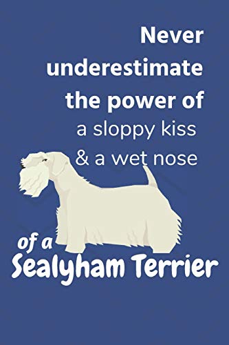 Never underestimate the power of a sloppy kiss & a wet nose of a Sealyham Terrier: For Sealyham Terrier Dog Fans