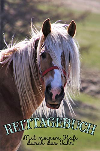 Reittagebuch: Das Reittagebuch zum Eintragen f??r ??ber 200 Reiteinheiten | Mit meinem Hafi durch das Jahr | Jahreskalender | Geschenkidee Haflinger (German Edition)