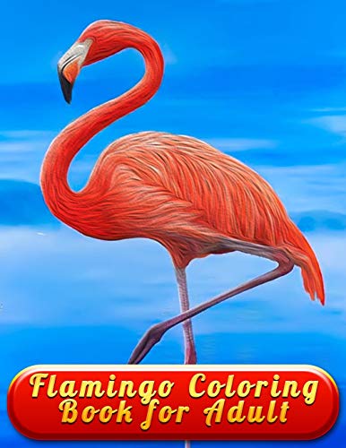 Flamingo Coloring Book for Adult: An Adult Coloring Book with Fun, Easy,flower pattern and Relaxing Coloring Pages - 9781676407478
