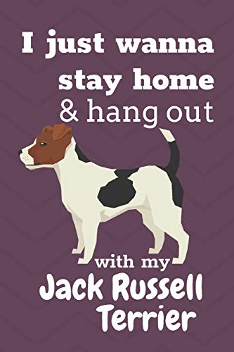 I Just Wanna Stay Home & Hang Out With My Jack Russell Terrier: For Jack Russell Terrier Dog Fans