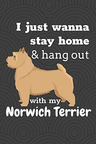 I Just Wanna Stay Home & Hang Out With My Norwich Terrier: For Norwich Terrier Dog Fans