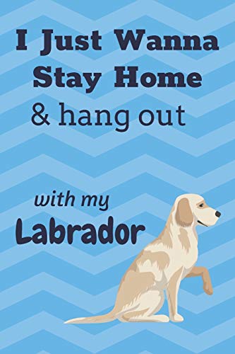 I Just Wanna Stay Home & Hang Out With My Labrador: For Labrador Dog Fans