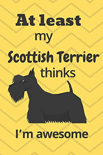 At least My Scottish Terrier thinks I???m awesome: For Scottish Terrier Dog Fans